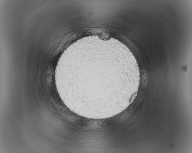 X0000113980379200911131101