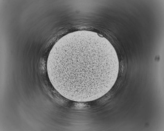 X0000113980380200911131101