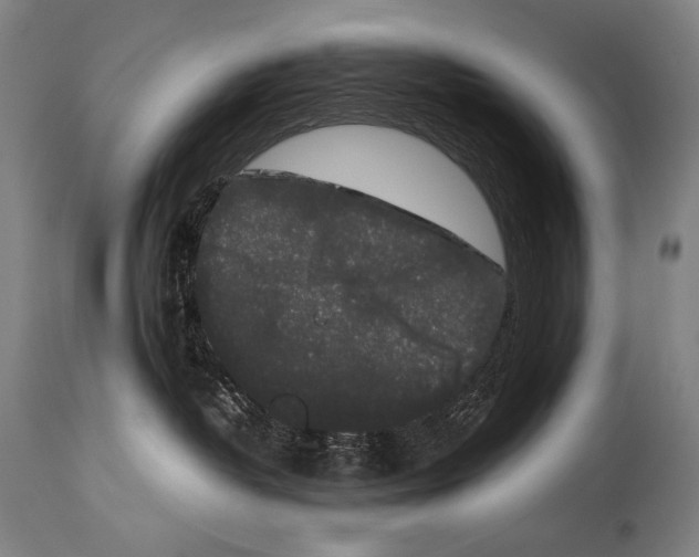 X0000113980382200911131101