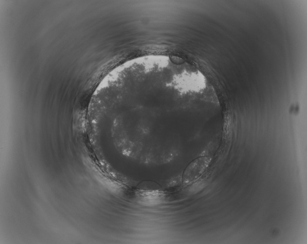 X0000113980383200911131101