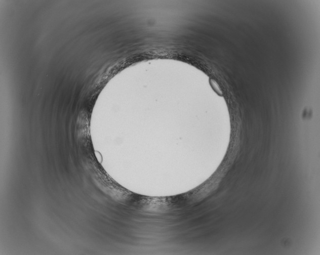 X0000113980384200911131101