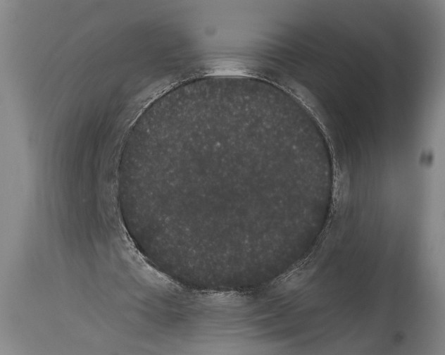 X0000113980385200911131100
