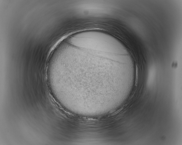 X0000113980387200911131100
