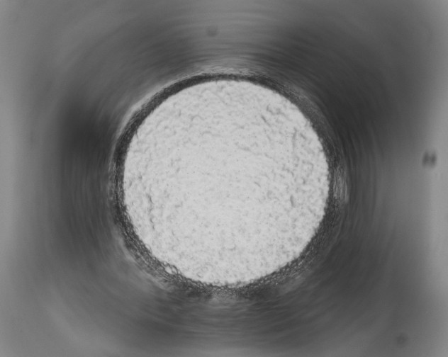 X0000113980388200911131100