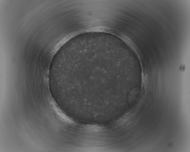 X0000113980389200911131100