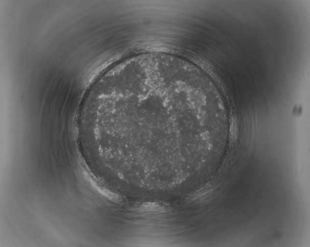 X0000113980390200911131100