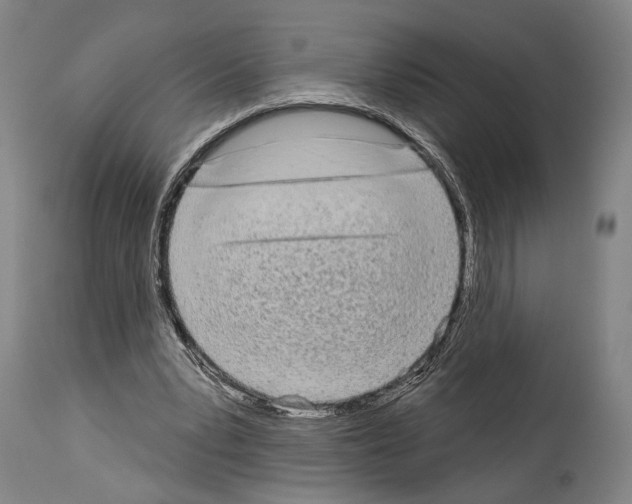 X0000113980391200911131100