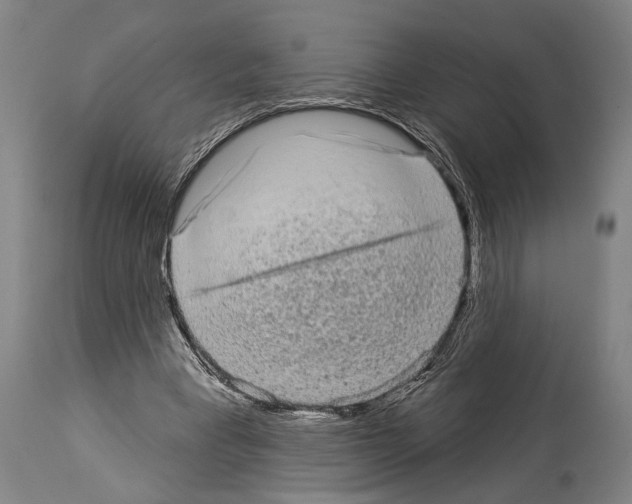 X0000113980393200911131100