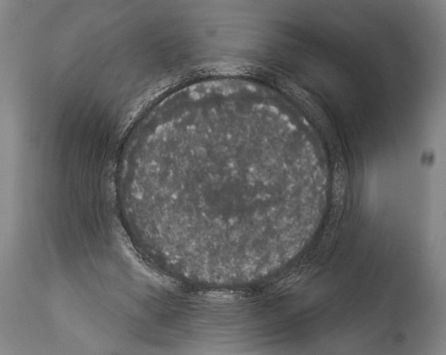 X0000113980394200911131100