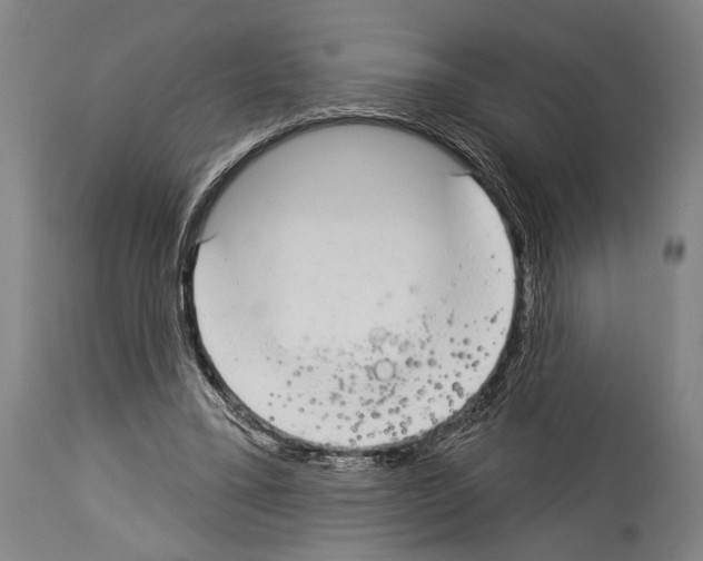 X0000113980395200911131100
