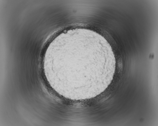 X0000113980396200911131100