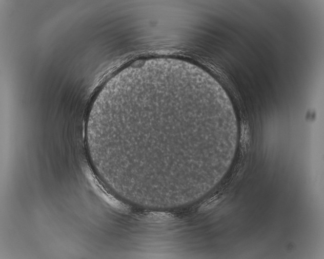 X0000113980397200911131100