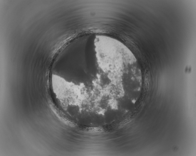 X0000113980398200911131100
