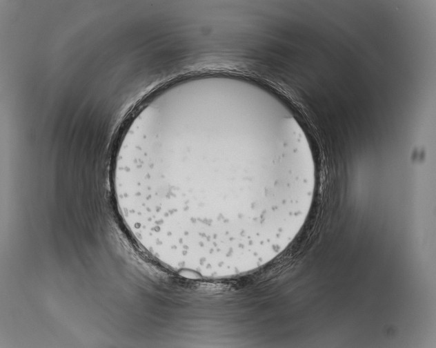 X0000113980399200911131100