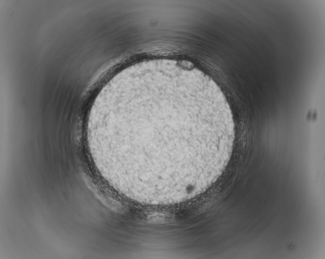 X0000113980400200911131100