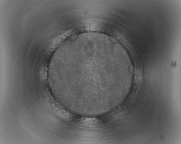 X0000113980401200911131100