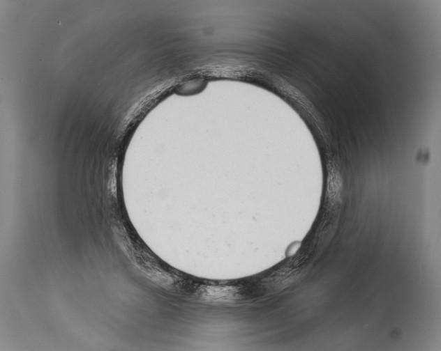 X0000113980403200911131100