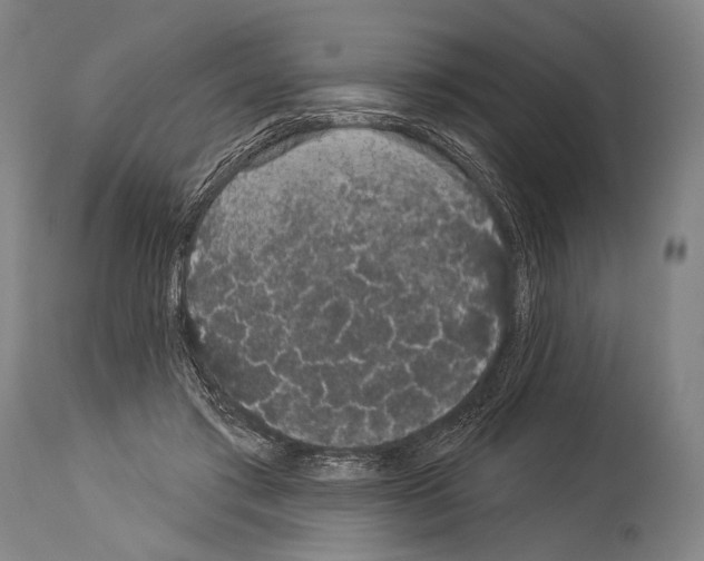 X0000113980405200911131100