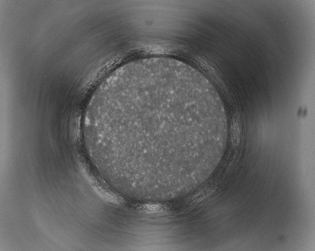 X0000113980406200911131100
