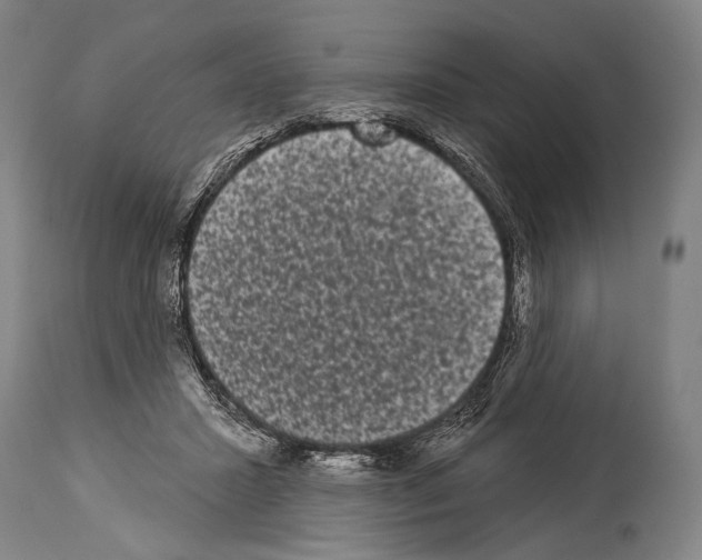 X0000113980407200911131100