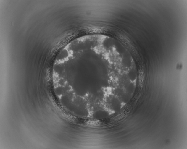 X0000113980410200911131100