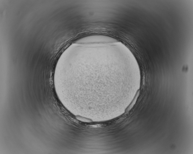 X0000113980411200911131100