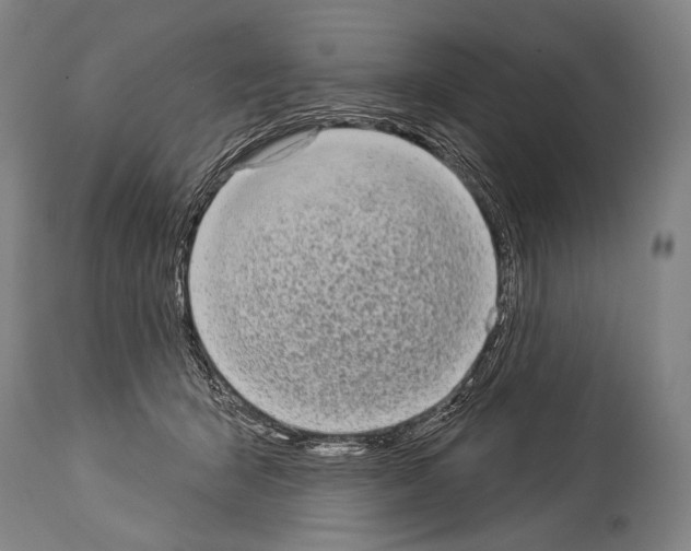 X0000113980415200911131100