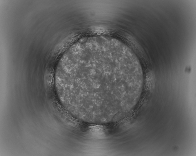 X0000113980417200911131059