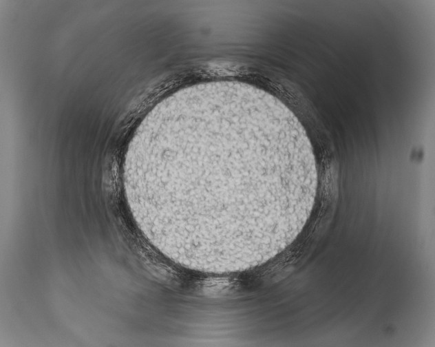 X0000113980418200911131059