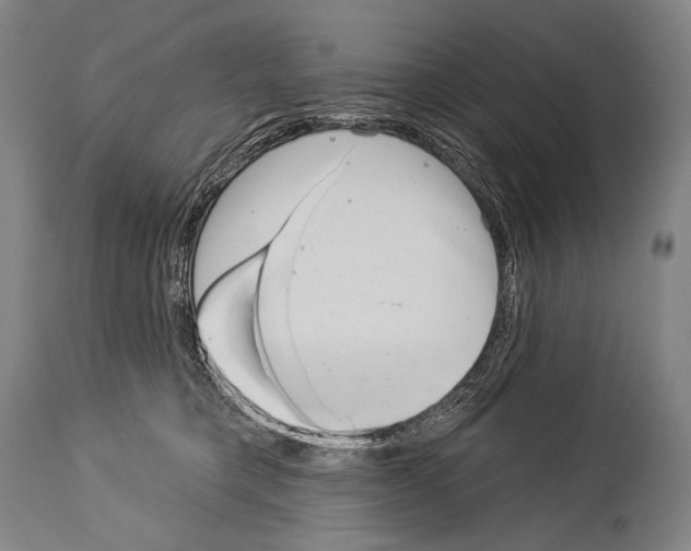 X0000113980421200911131059