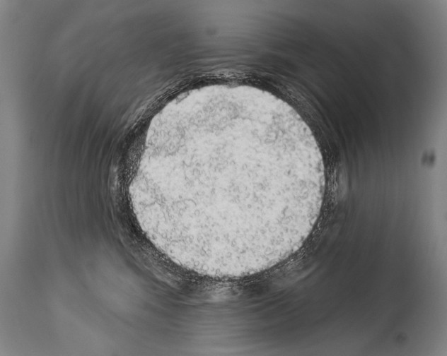 X0000113980424200911131059