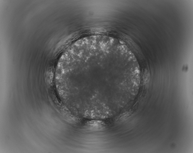 X0000113980427200911131059