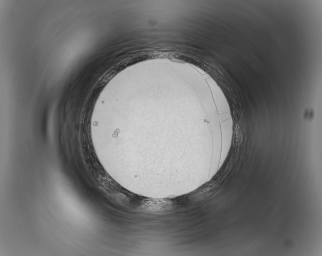 X0000113980429200911131059