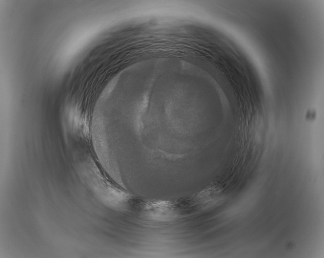 X0000113980431200911131059