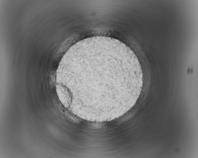 X0000113980432200911131059