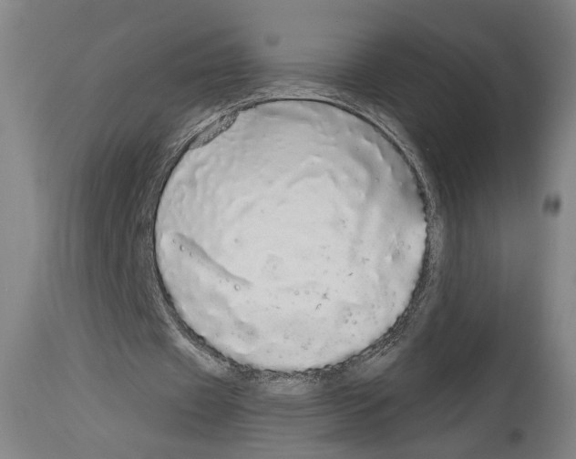 X0000113980433200911131059