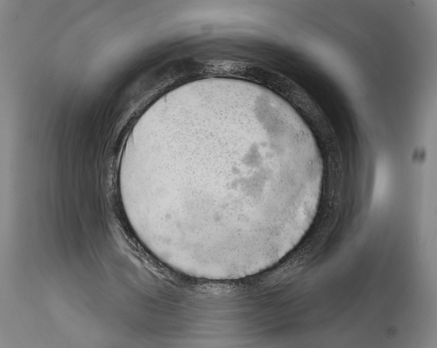 X0000113980435200911131059