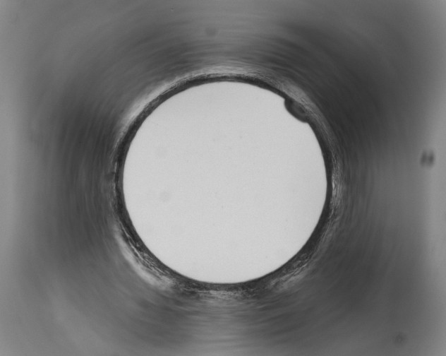 X0000113980436200911131059