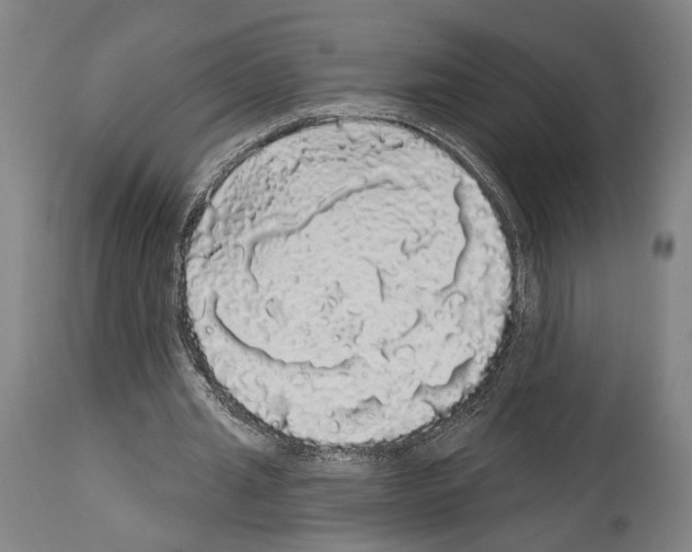X0000113980437200911131059