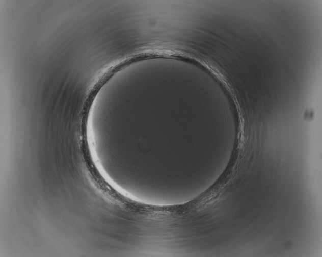 X0000113980438200911131059