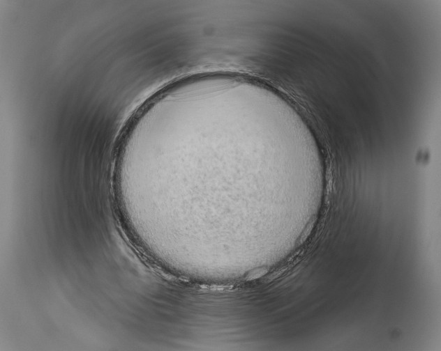 X0000113980440200911131059