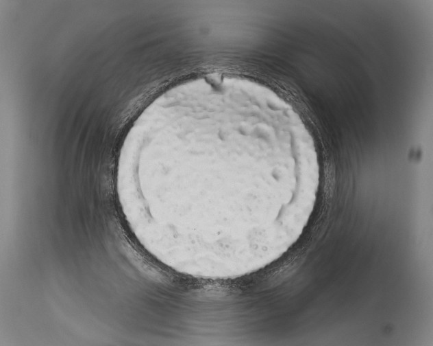 X0000113980441200911131059