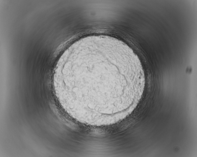 X0000113980442200911131059