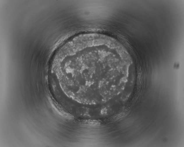 X0000113980443200911131059