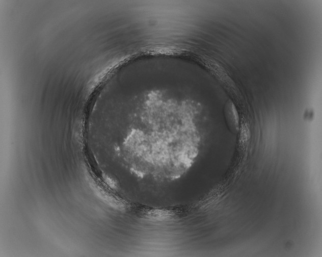 X0000113980444200911131059