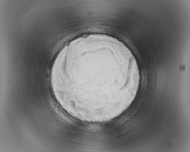X0000113980445200911131059