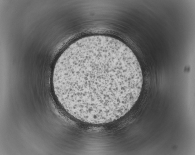 X0000113980446200911131059