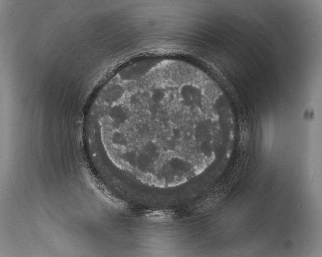 X0000113980447200911131059