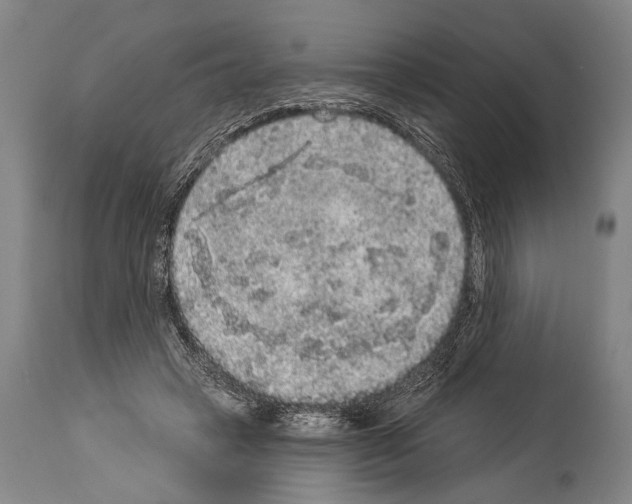 X0000113980449200911131059