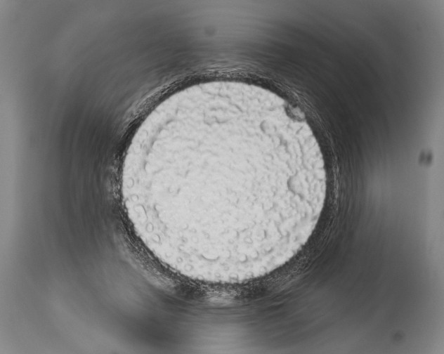 X0000113980450200911131059